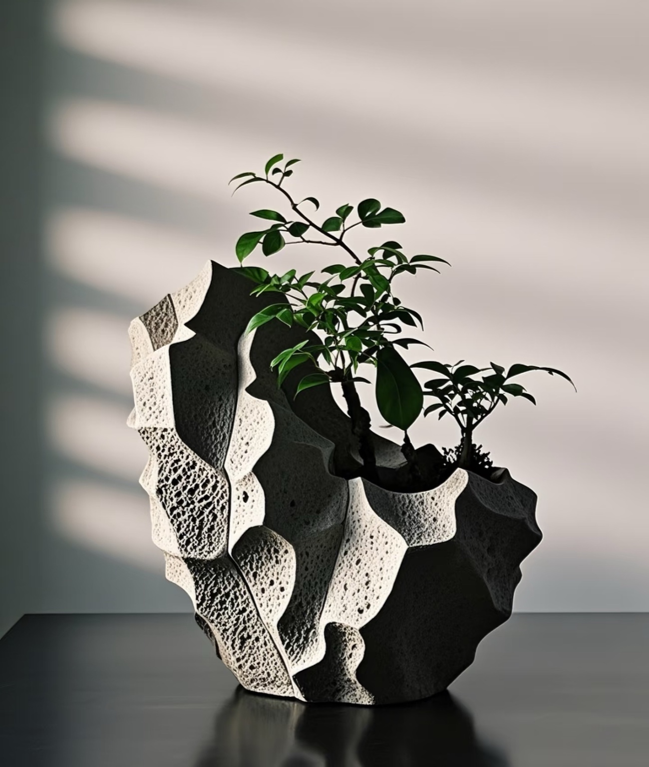 Planter CRUST
