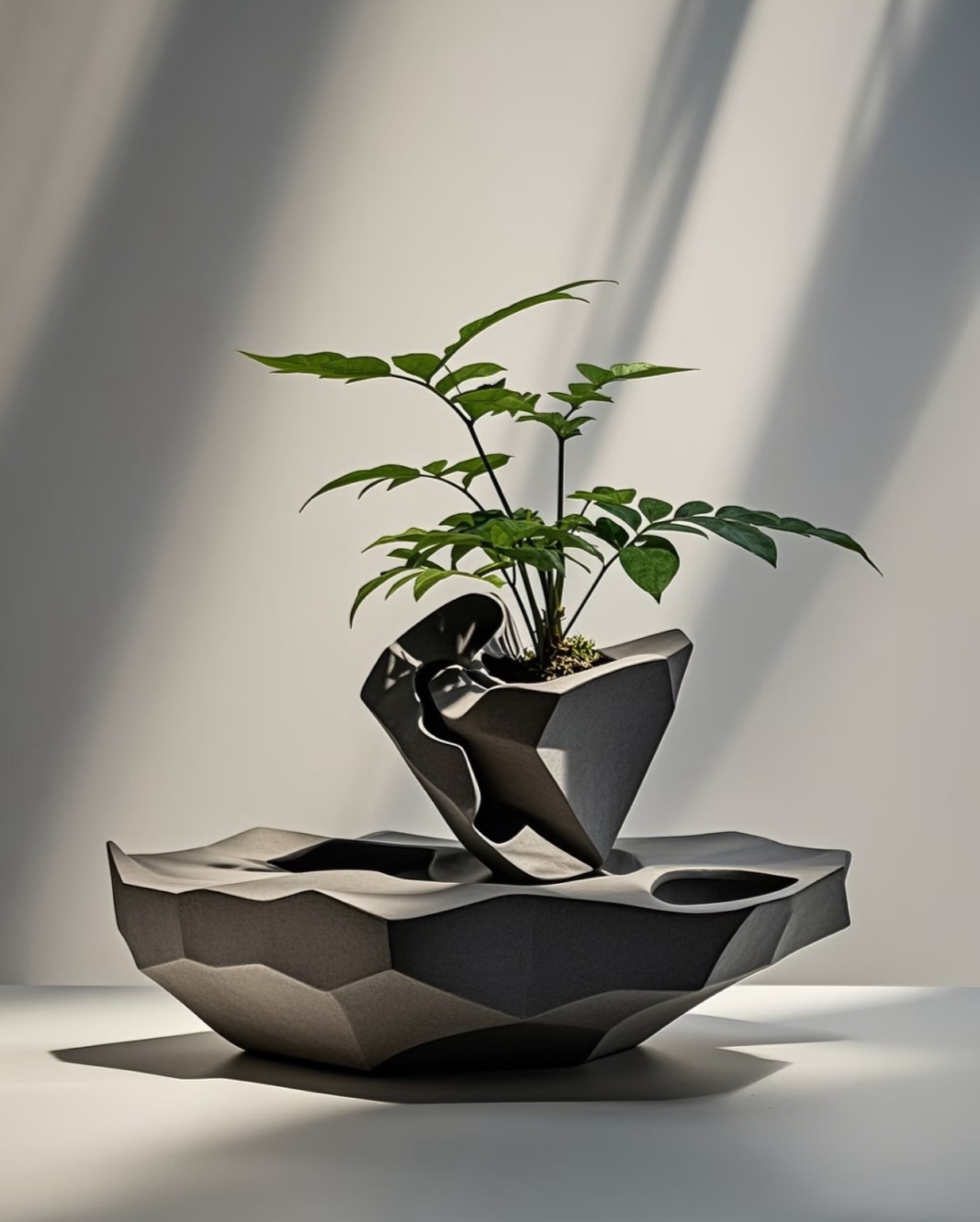 Planter DELTA