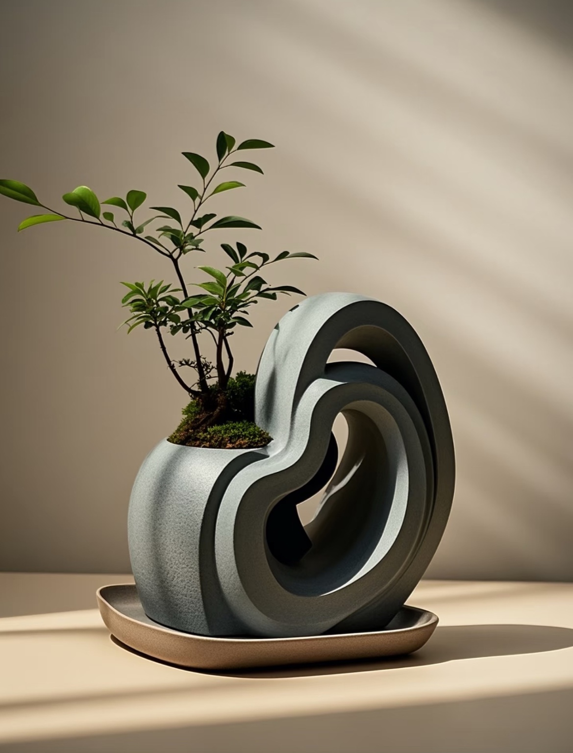 Planter LOOP